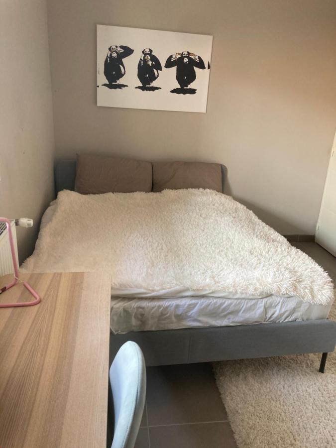 The Cocoon Lejlighed Nice Eksteriør billede